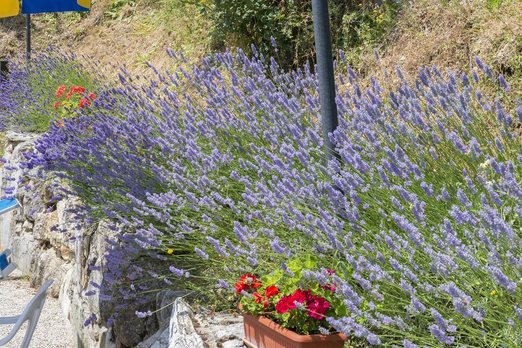 Agriturismo Monte Acuto Umbertide Exteriér fotografie