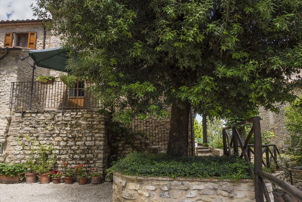 Agriturismo Monte Acuto Umbertide Pokoj fotografie